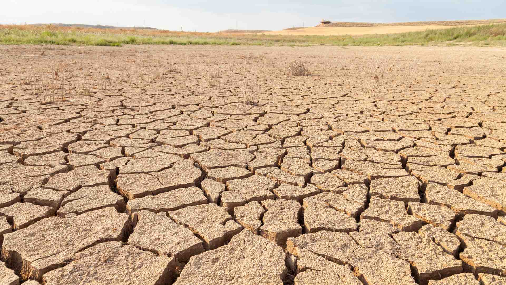 Crisi idrica e gestione dell'acqua: le soluzioni proposte dall'ingegneria moderna